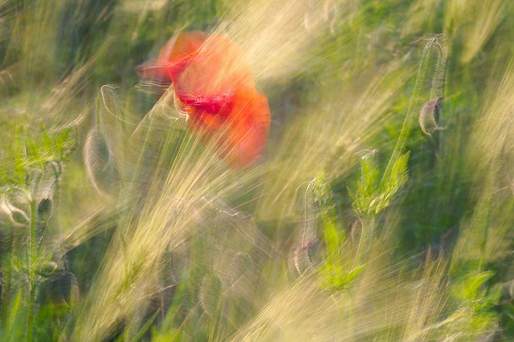 Wind
