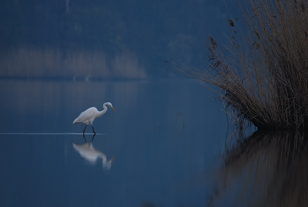 Abendstille