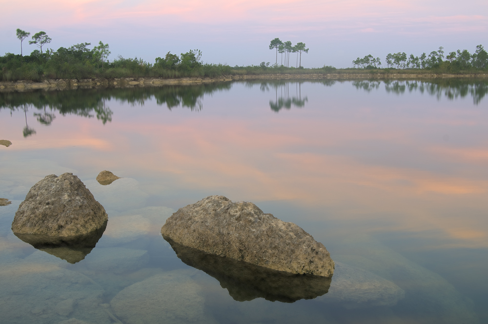 Sonnenaufgang - Everglades