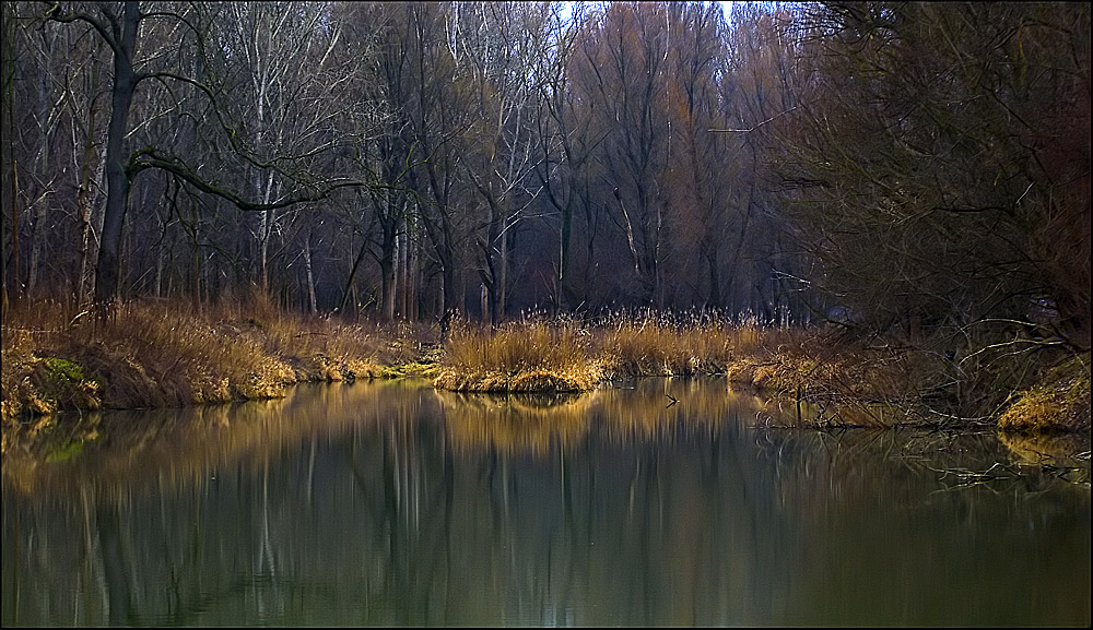 Winter in der Au