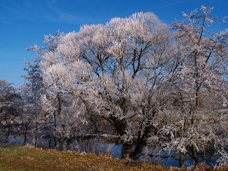 Winter an der Lahn II