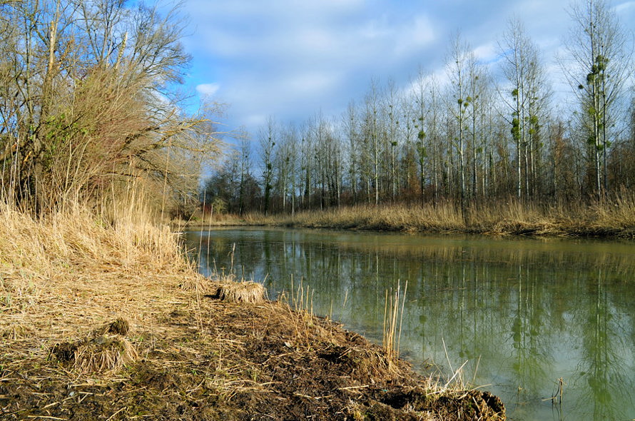 Alter Rhein