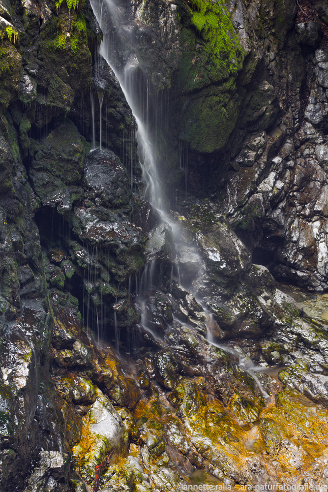 In der Vintarschlucht