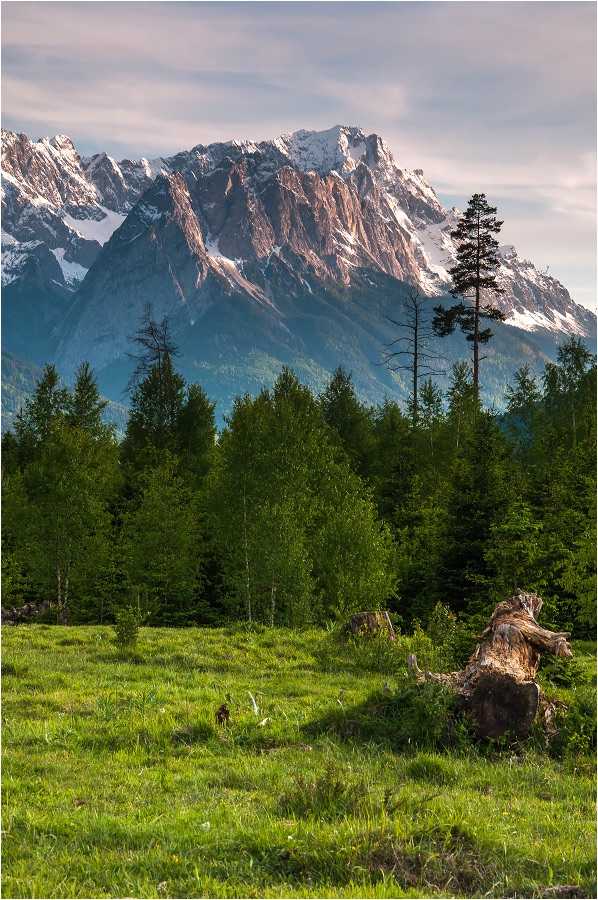 °°° Zugspitzblick °°°