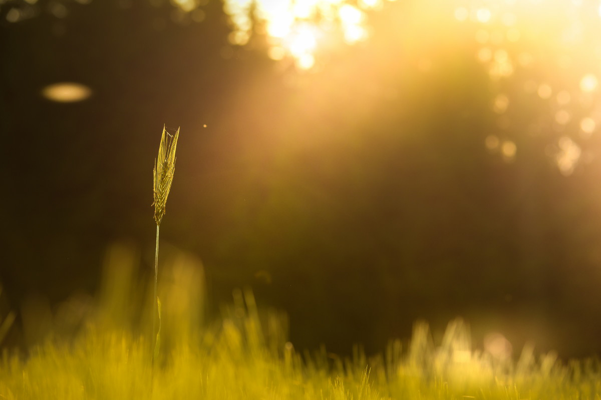 so ein Gefühl von Sommer ...