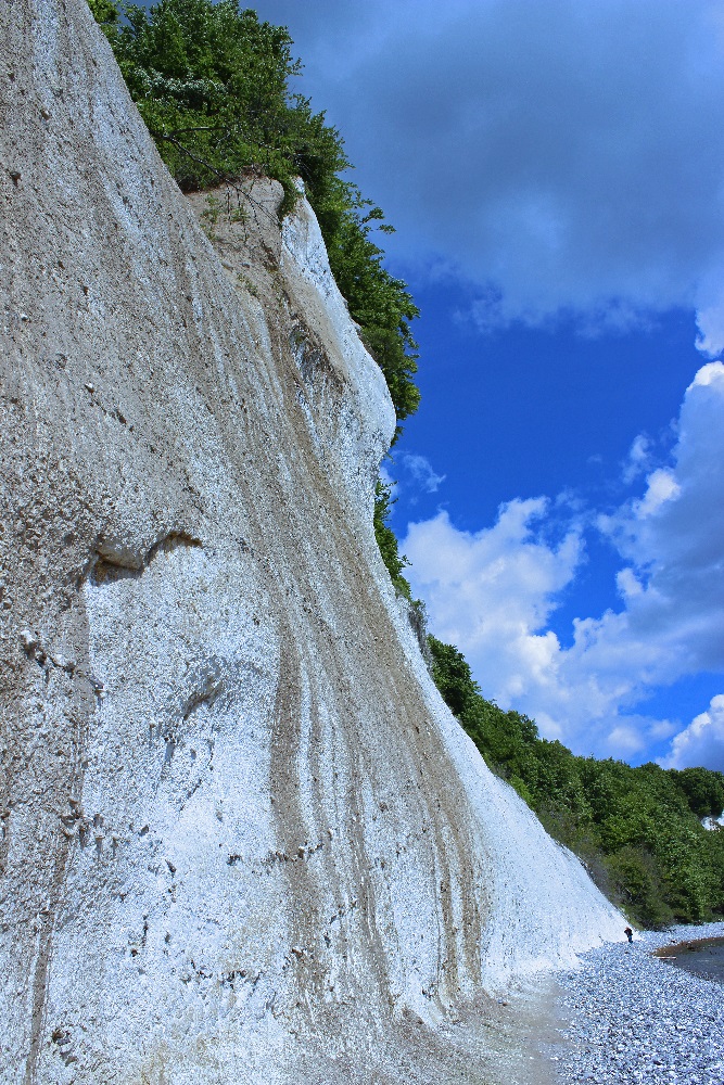 Kreidefelsen auf Rügen