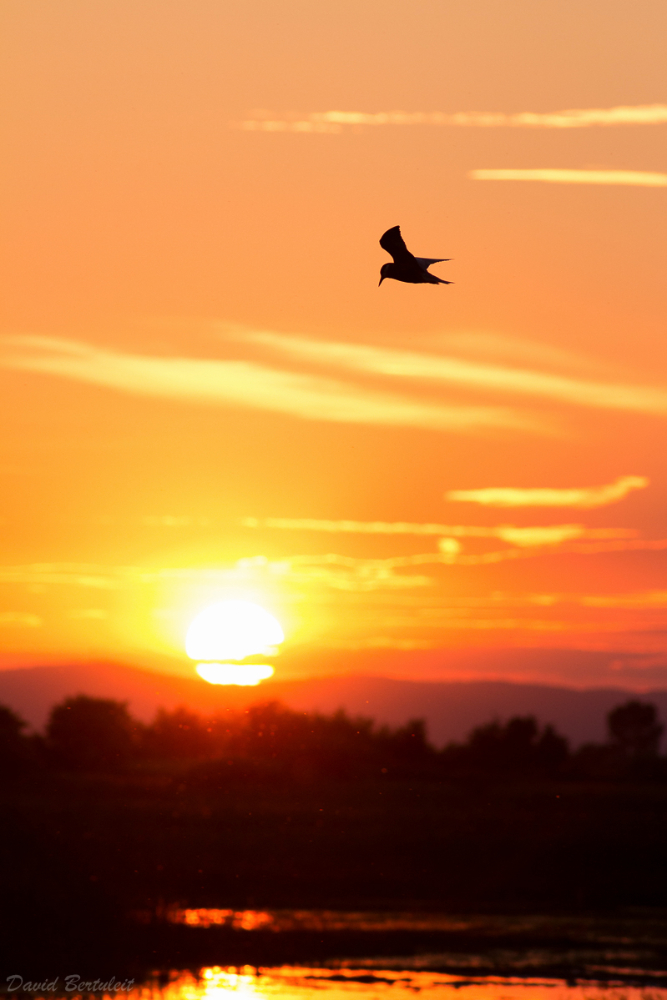 Sonnenuntergang