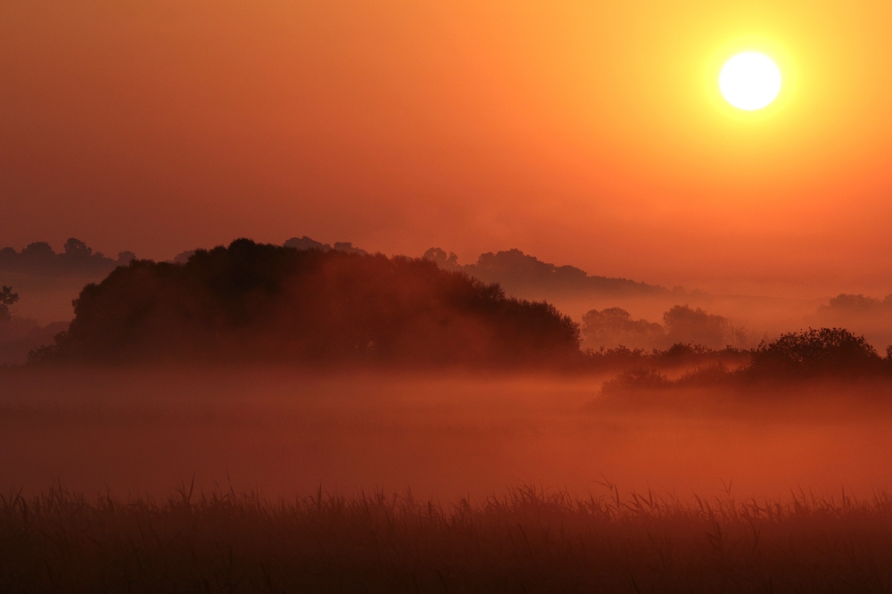 Sonnenaufgang über den Birkbuschwiesen