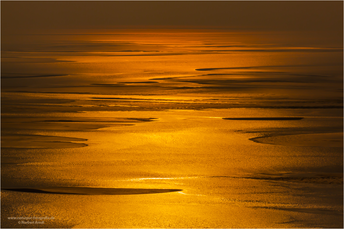Goldenes Wattenmeer