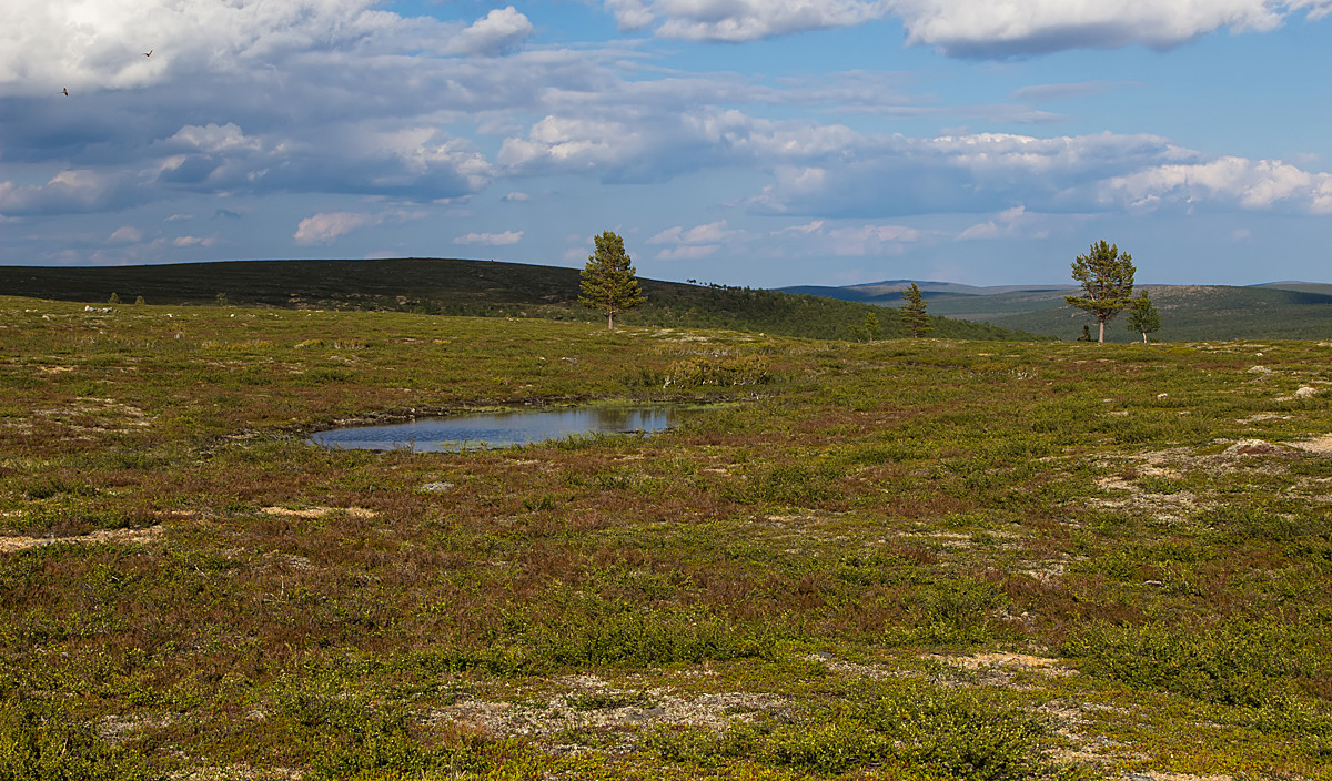 weites Fjäll ...