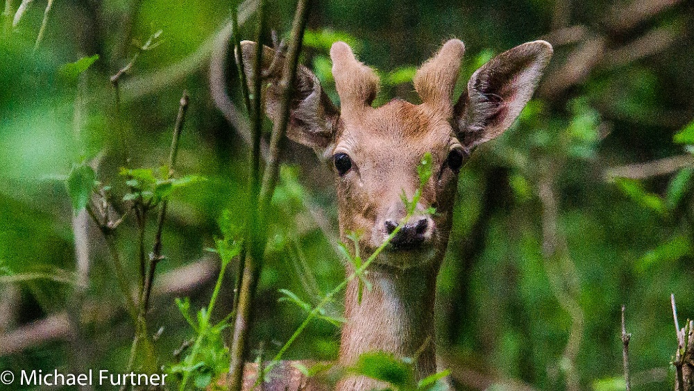 Wer versteckt sich vor wem?