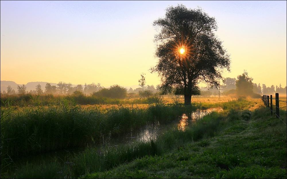 Herbstlicher Morgen