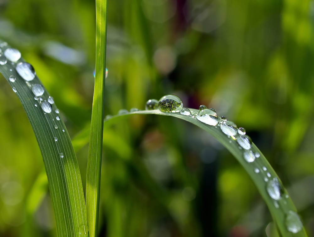 nach dem Regen