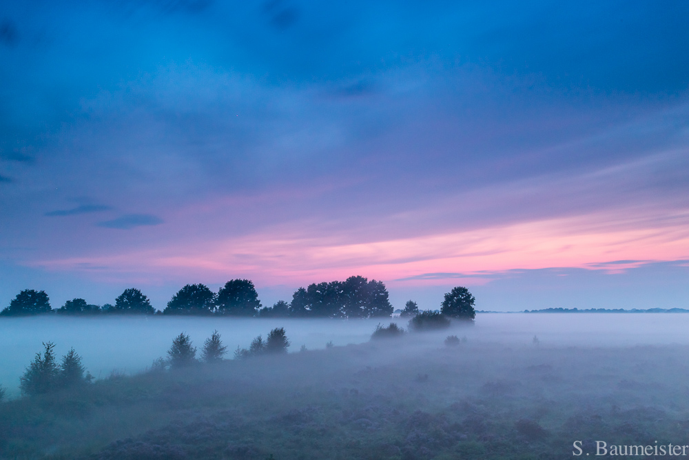 Heide, Moor und Bodennebel