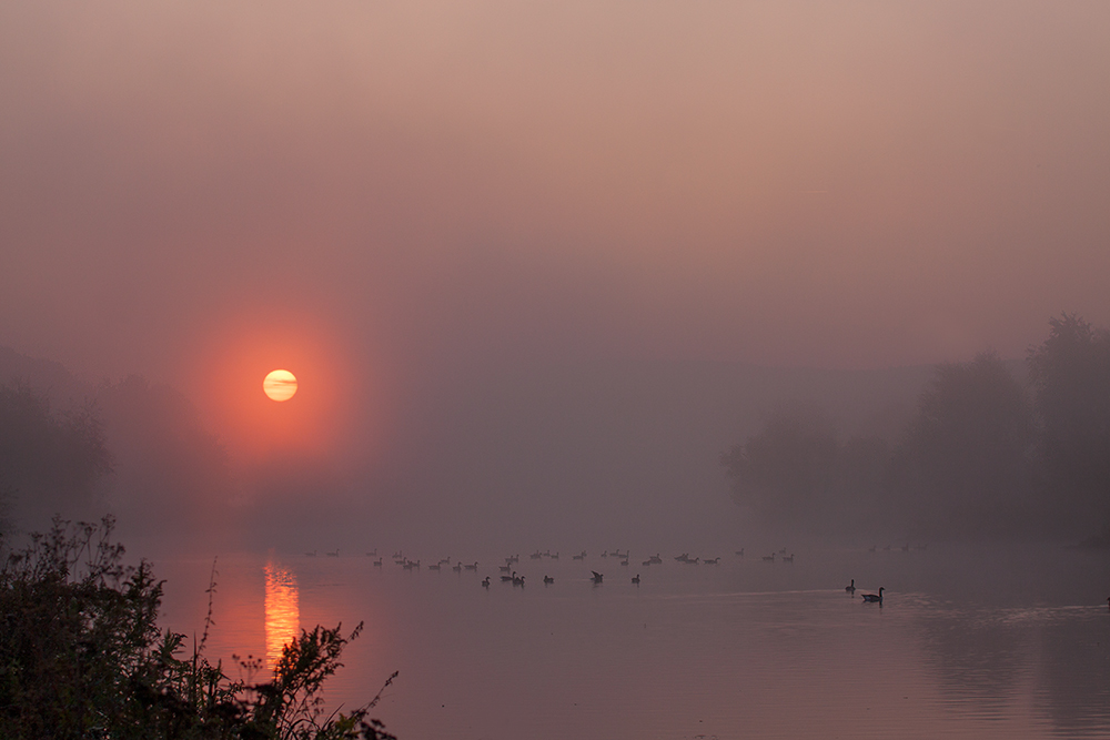 Ruhrmystik