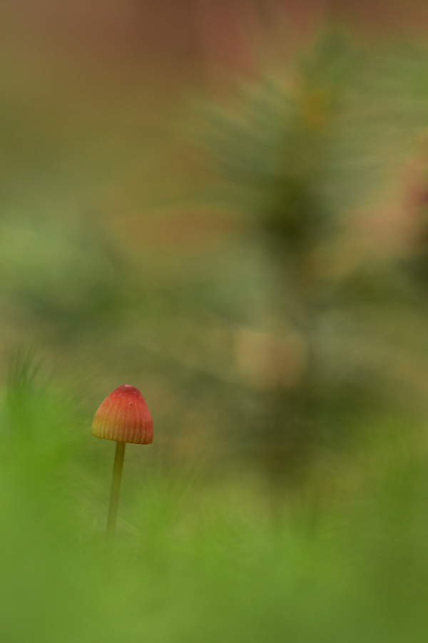 Der Herbst kommt