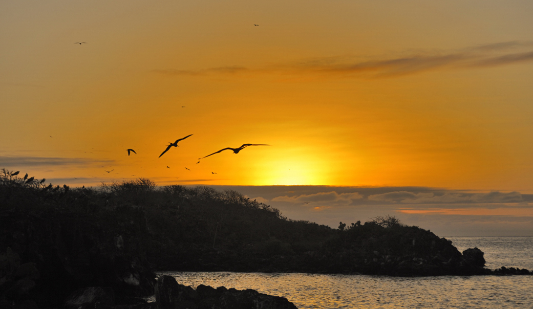 Galapagos sunrise