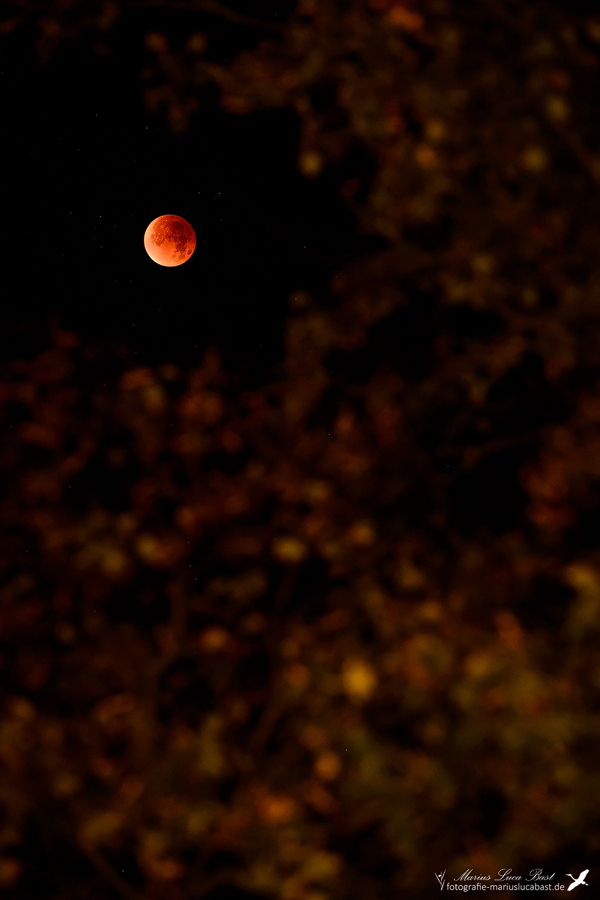 Blutmond