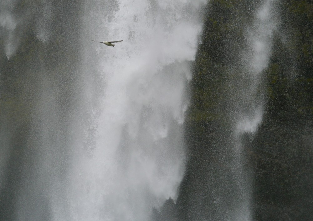 Seljalandsfoss, Island