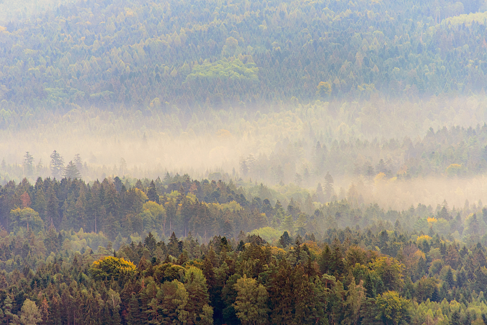 Herbst 2015