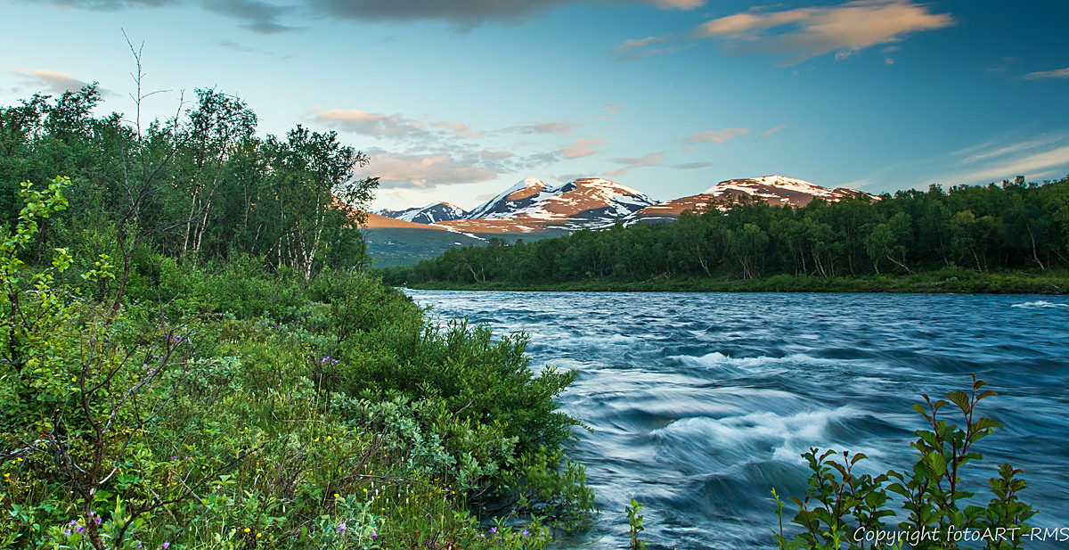 im Nationalpark Abisko