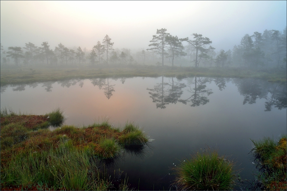 - Nebel-Mystik -