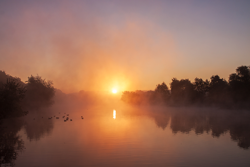 Herbstmorgen an der Ruhr III