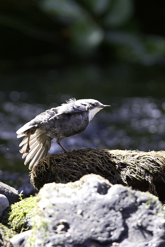 Stretching nach den vielen Tauchgängen