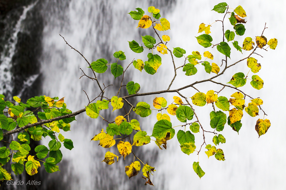 herbstlich