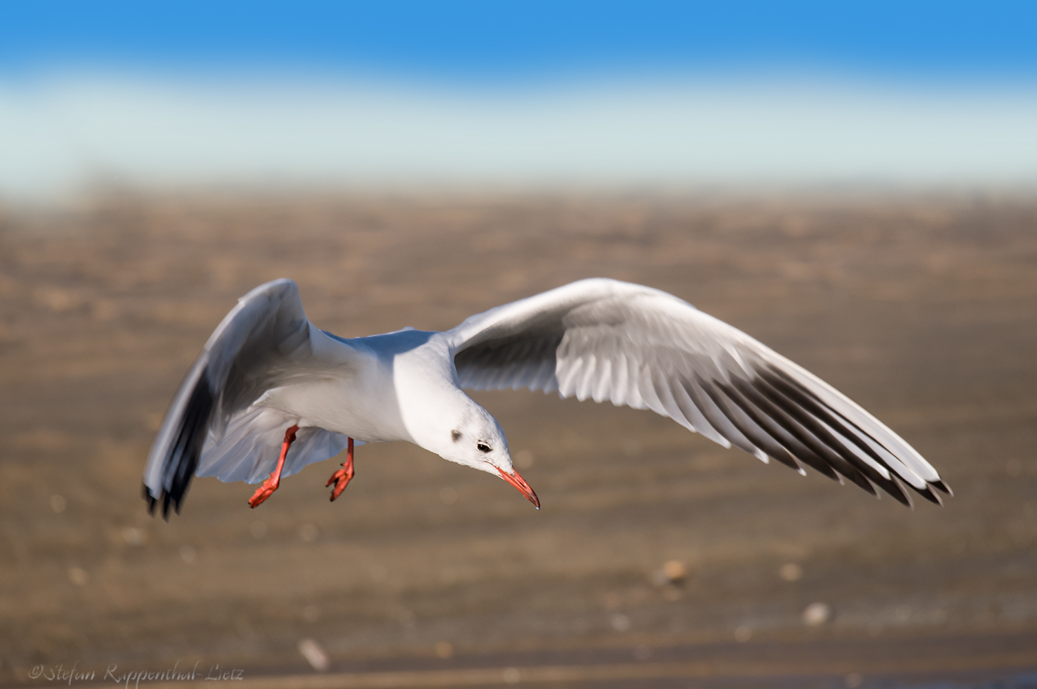 Strandbilder