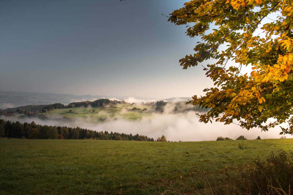 Herbstnebel