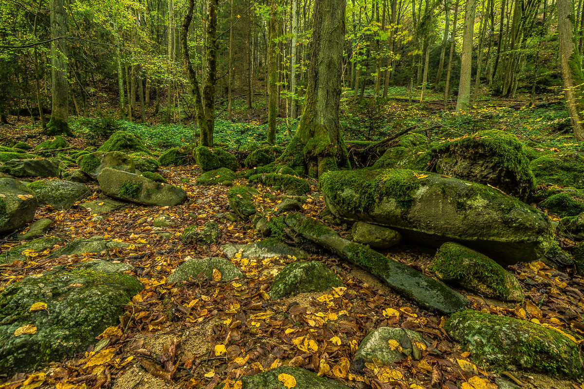 Herbstlich