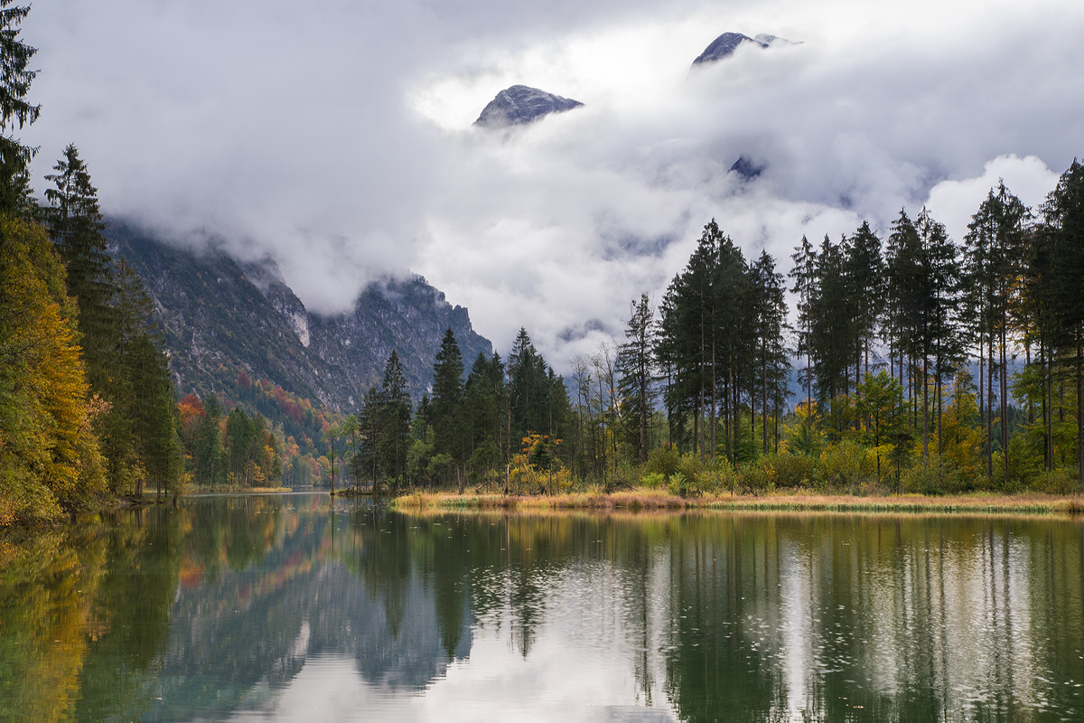 Almsee