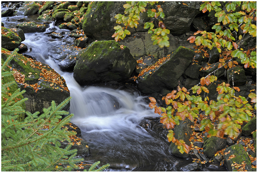 Steinklamm bei Spiegelau