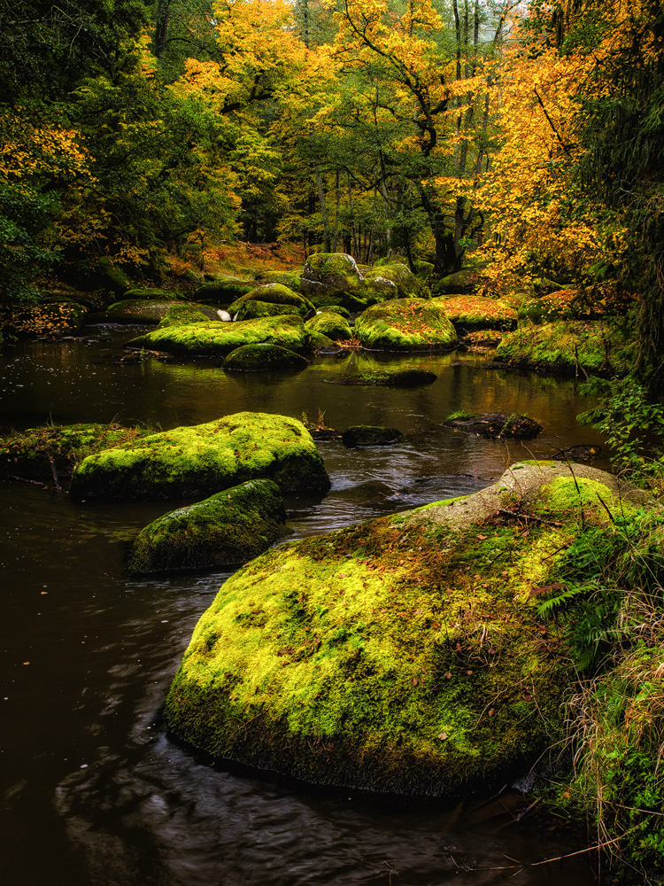 Herbstliche Flussidylle