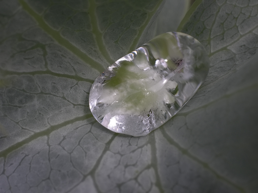 "Raindrop"