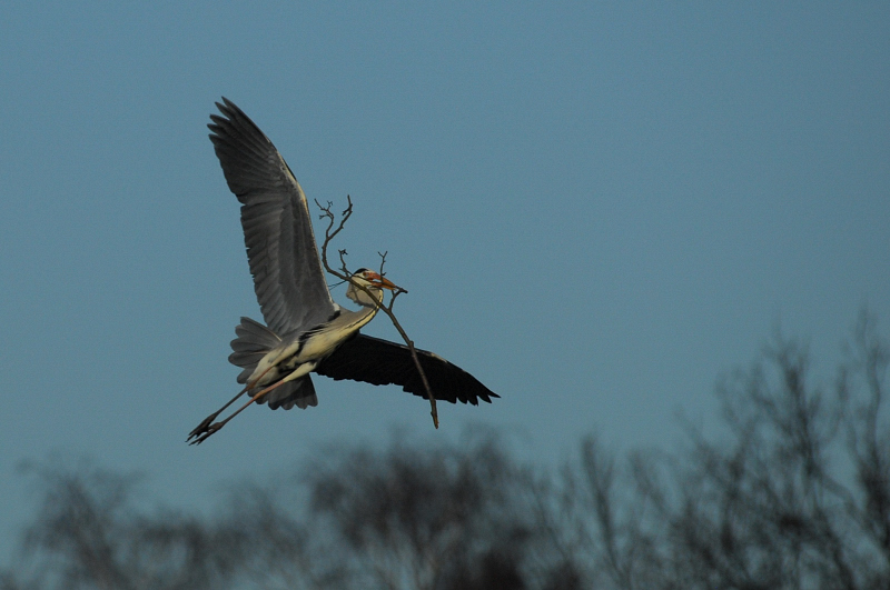 Flugstunden