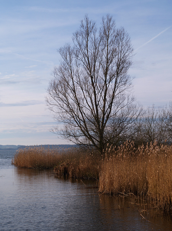 Hemmelsdorfer See V