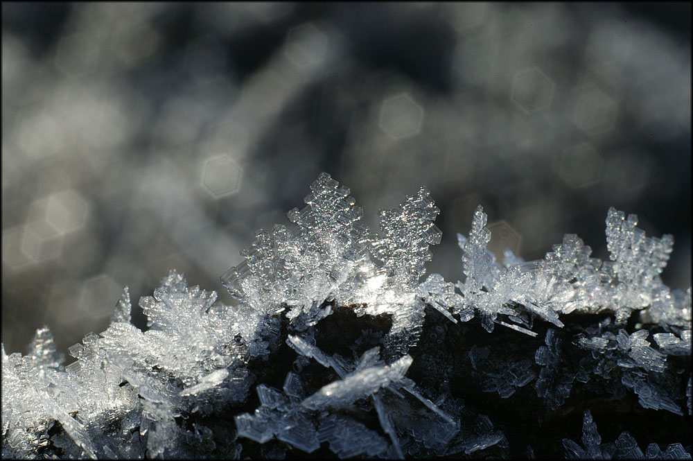 Winterliche Juwelen