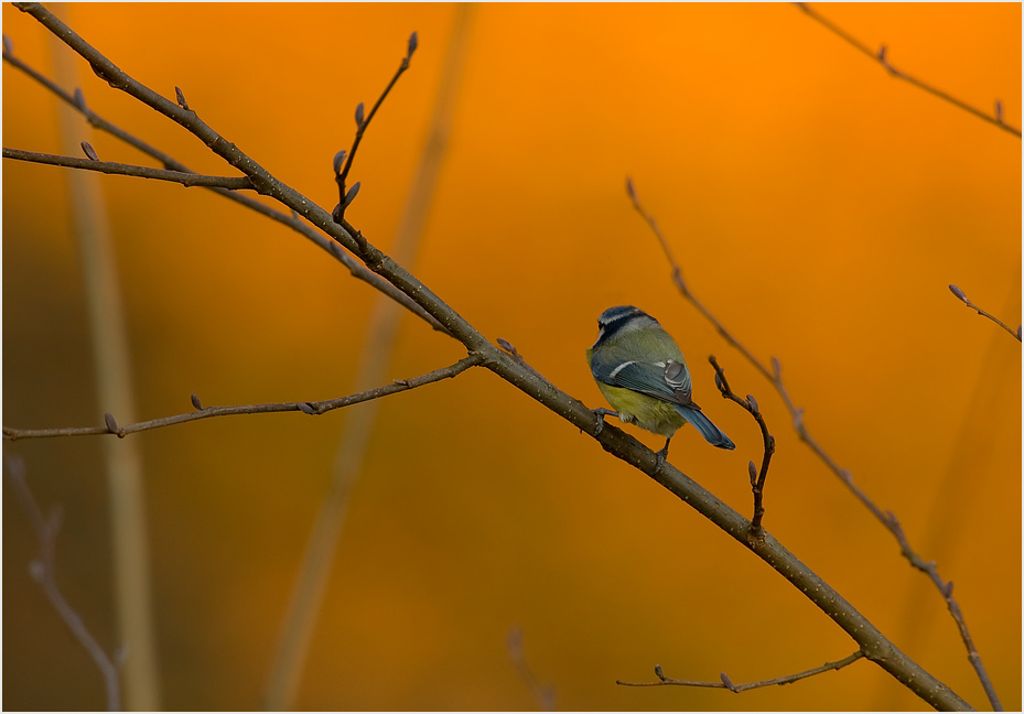 Blick in den Morgenrot