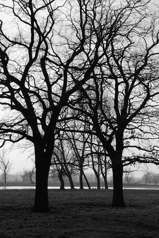 Durchblick - jetzt in s/w