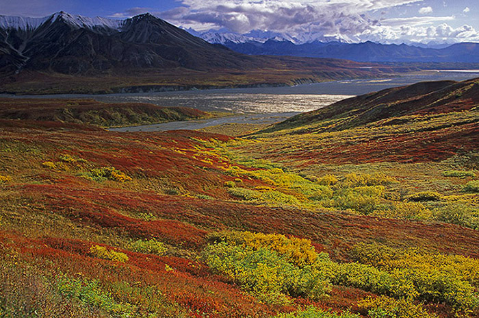 Indian Summer am Mount Eielson