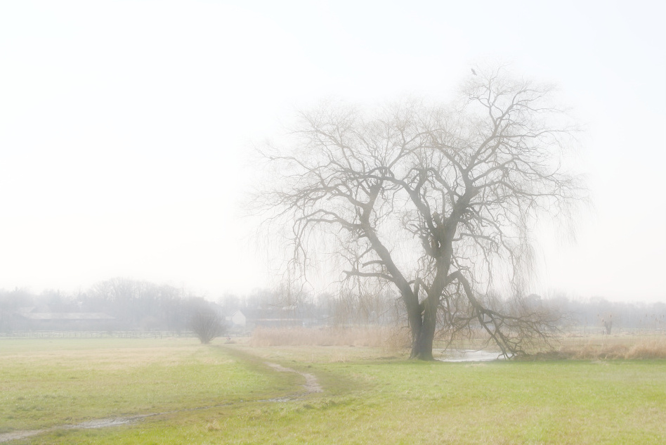 Fliesslandschaft