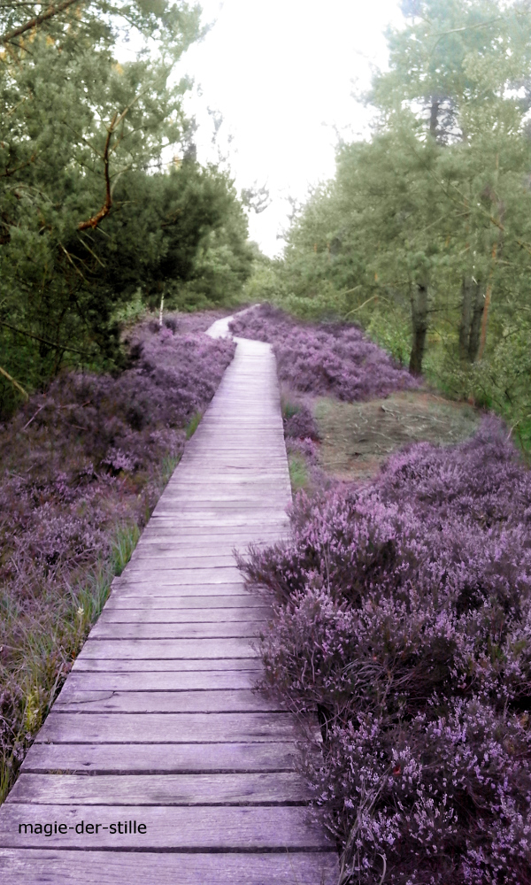 Heide