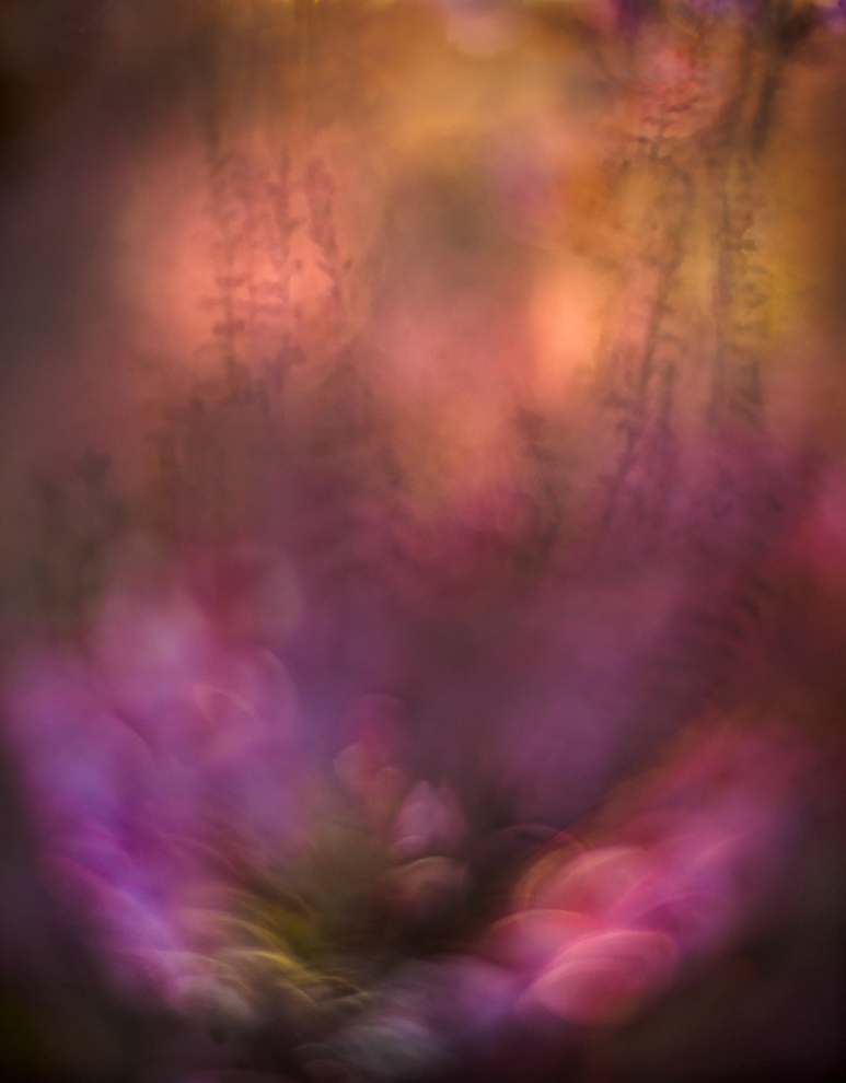 Heideglut