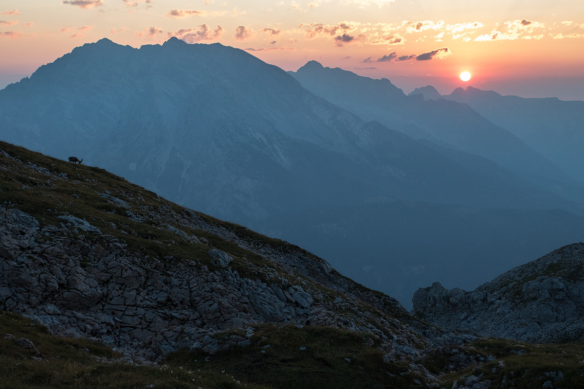 Sonnenuntergang am Watzmann