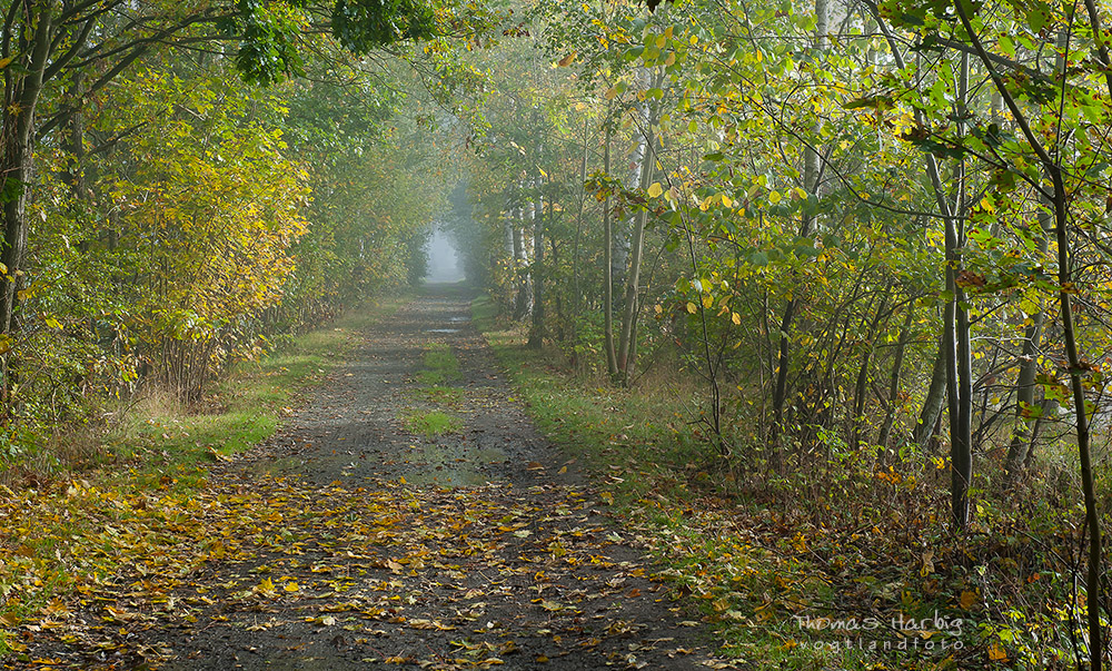 Herbstweg