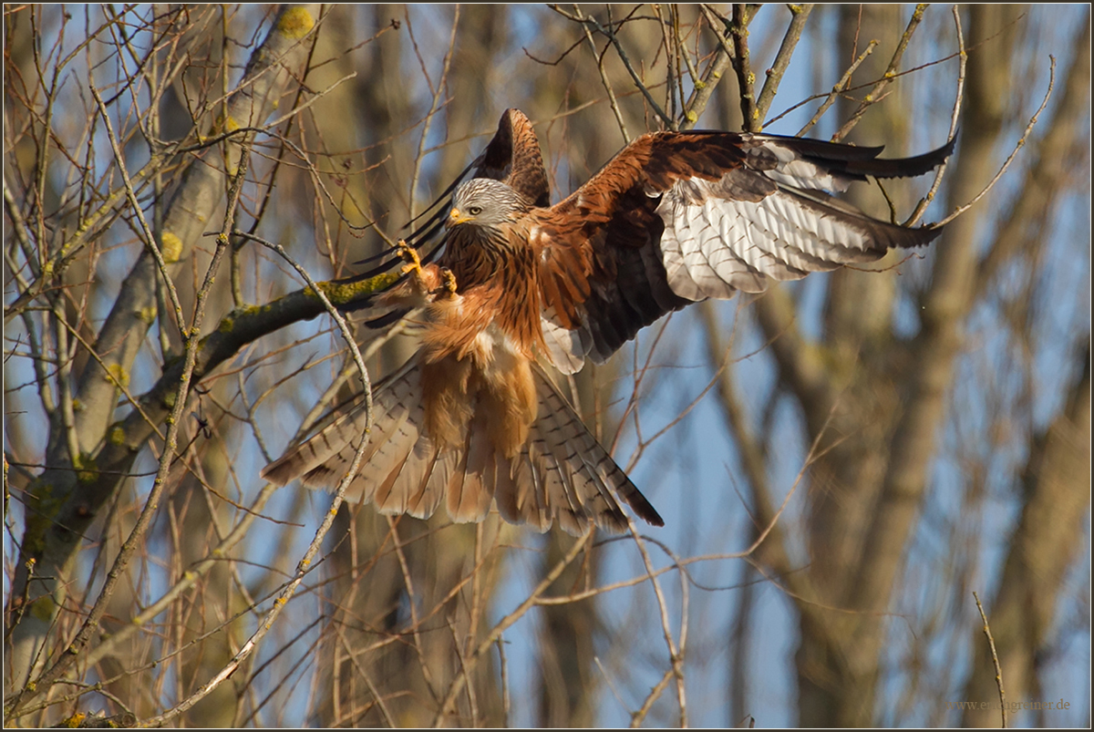 „Der Flug-Harvester“