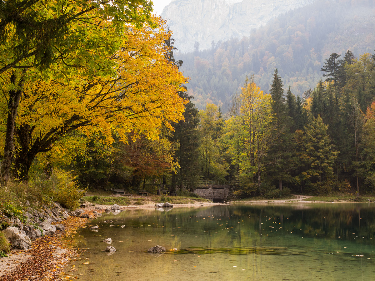 Goldener Oktober