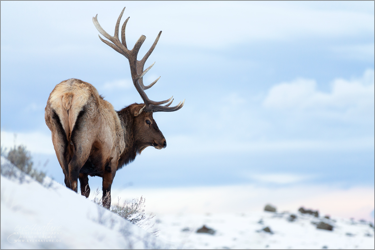 King of the Mountains